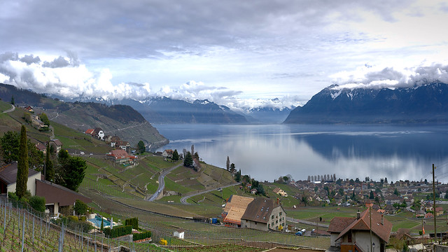 A view of Lavaux