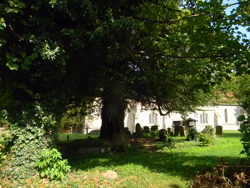 Churchyard, Blewbury Cholsey to Goring