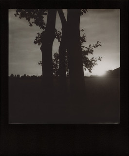 Evening Sunset (Polaroid SX70, Impossible BW Black Frame)
