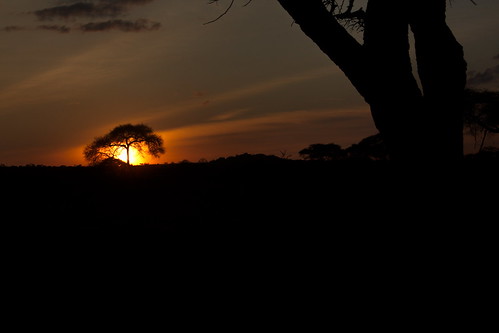 sunset sun canon tanzania sigma tarangire tarangirenationalpark 18250mm magugu 18250mmf3563dcos magugutanzania