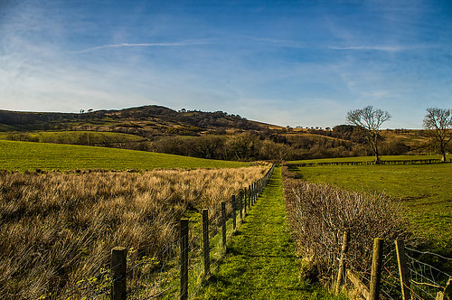 grass blue green fence scotland northayrshire landscape bluesky