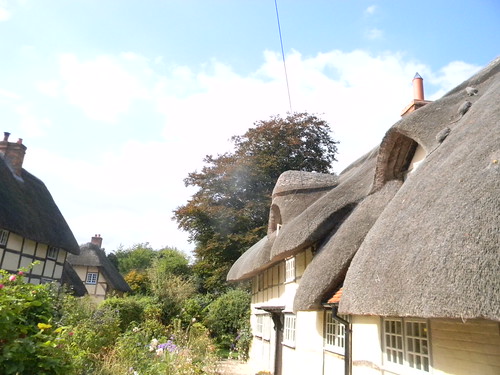 Thatch Cholsey to Goring