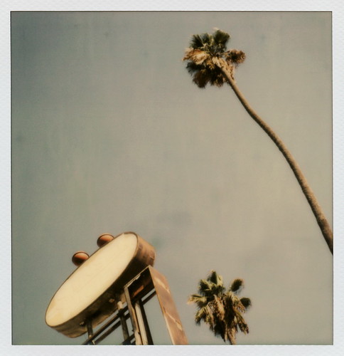 california ca door trees sunset toby sky lake color abandoned film sign silver project palms polaroid sx70 for la los boulevard pacific angeles ghost motel palm tip cameras 600 type rollers hancock derelict slr680 fronds blvd impossible the frankenroid impossibleproject tobyhancock impossaroid