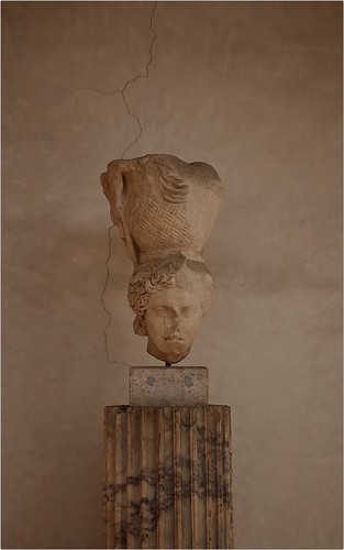 Roma | by shmc5hamer