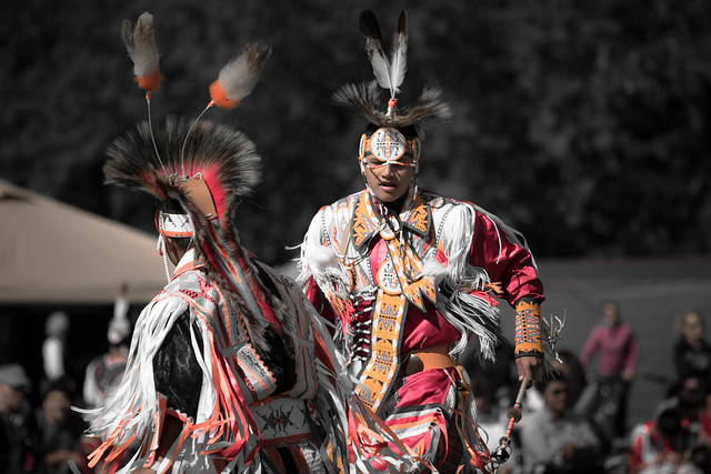 61st annual chicago pow wow. september 2014