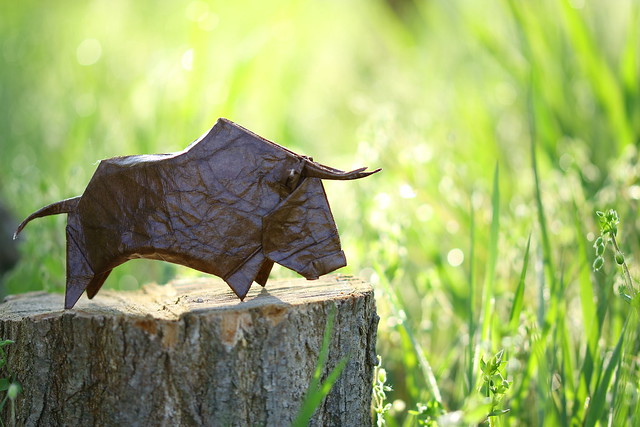 Bull ( origami )