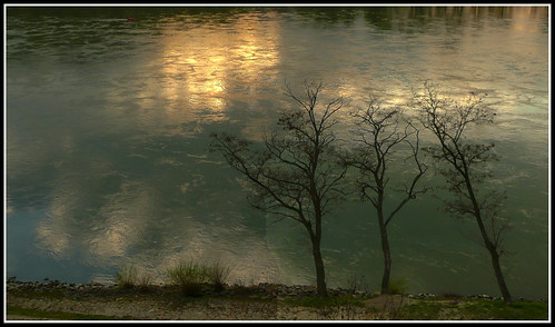 trees sunset nature water sunshine reflections river harmony riverbank danube lookat panasonicdmctz3