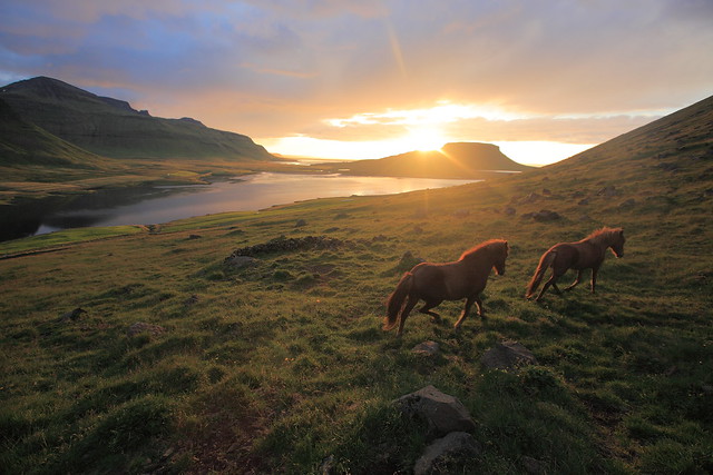 Icelandic sunset