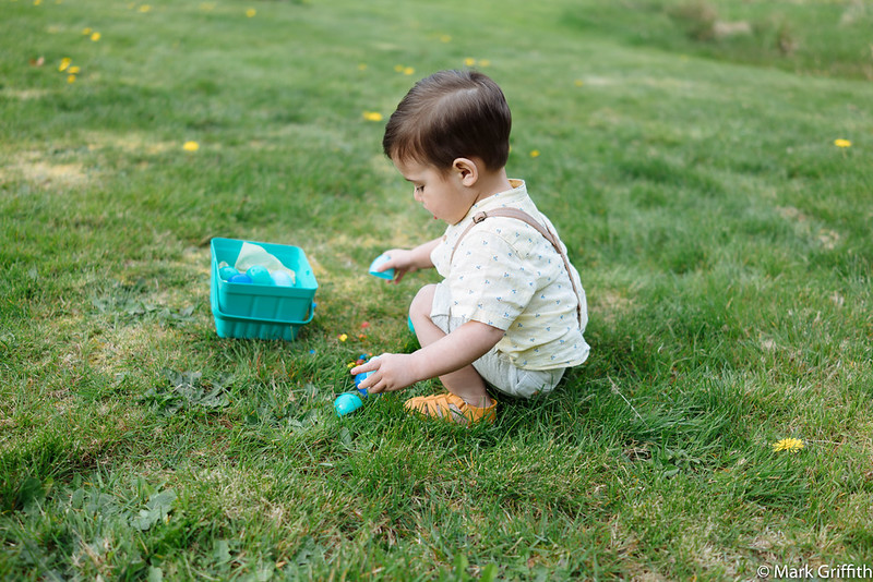 Egg Hunter