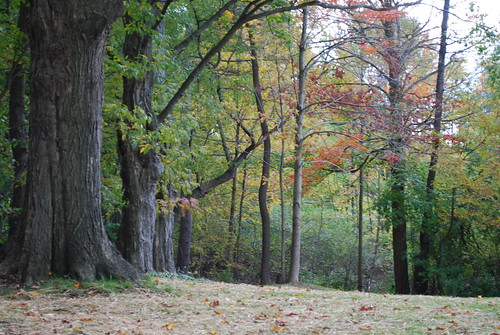 autumn ohio fall huntingvalley