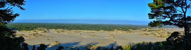 Panorama of the Oregon Dunes