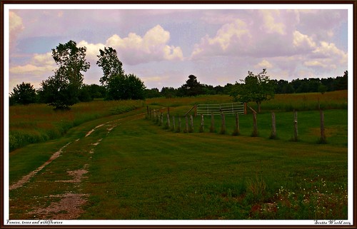 park flowers trees summer sky sunlight green nature grass clouds rural fence painting fun midwest pov path michigan framed country perspective july adventure orion 248 2014 hff oaklandcounty olympusepm1