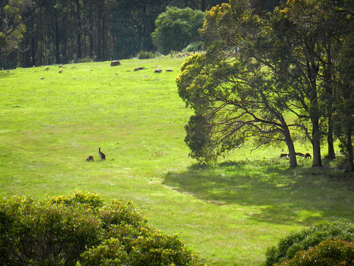 river landscape spring nikon dana australia kangaroo western margaret studios hilltop iwachow s9200 springwestern