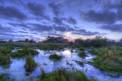blue trees sunset sky orange cloud sun tree nature wet water grass yellow set clouds reeds landscape photography nc high still skies dynamic mud north rick bank dirty swamp sound land carolina marsh outer scape range hdr banks obx wetland sause ricksausephotography