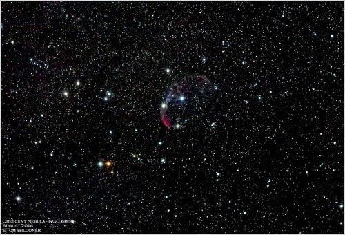 sky night canon stars timelapse time august crescent galaxy nebula astrophotography astronomy paintshoppro nightsky constellation corel astronomer 2014 400mm cygnus crescentnebula canon6d ioptron tomwildoner zeq25gt