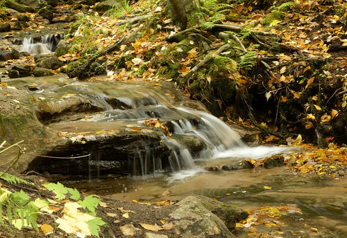 autumn fall forest canon waterfall stream michigan upperpeninsula t3i munising wagnerfalls