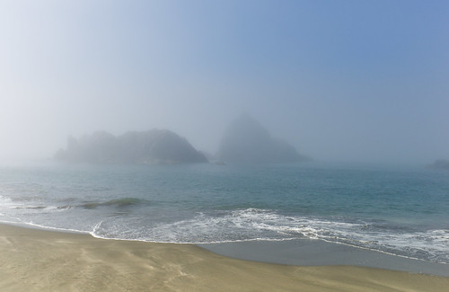 leica morning summer beach fog oregon tide summicron pacificocean m9 2014 35mmf2 harrisbeachstatepark whatimseeing