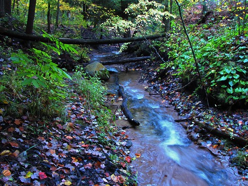 longexposure autumn fall canon geotagged stream michigan manisteerivertrail canonpowershotsx10is