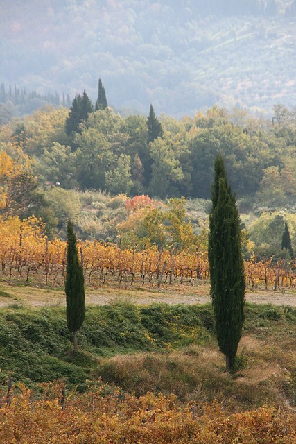 Autunno in Toscana