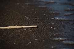 Palito en la arena - Stick in the sand