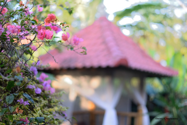 Balinese garden