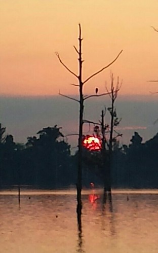 Blur Herion loves sunset by Tim_Tek,