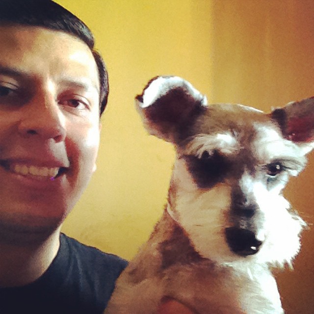 #schnauzer se llama Chloe #dog #pedigri #perros #pet #mascota #animalES #Veracruz