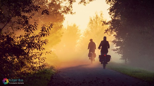 morning autumn sun mist fall bike silhouette misty fog sunrise gold golden glow foggy sunny biking glowing bikelane goldenhour