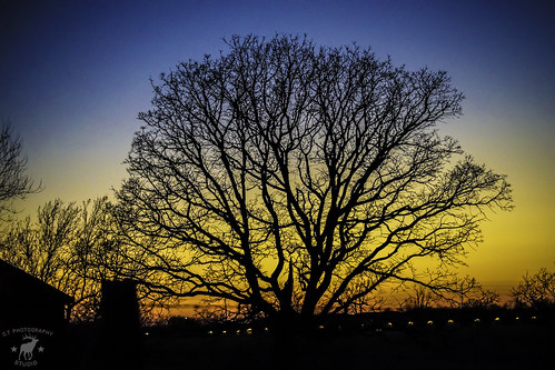 Sunset & Shadows by Coulton Thomas Photography, 