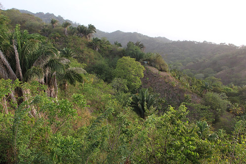 colombia tropical dryforest