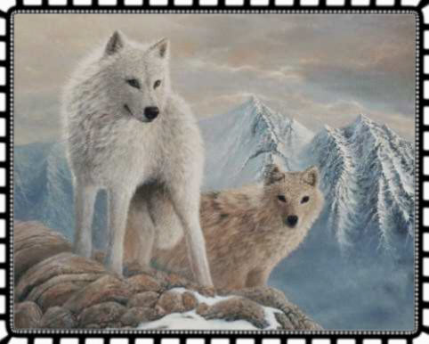 artic-wolves | by ljerrysgirl2