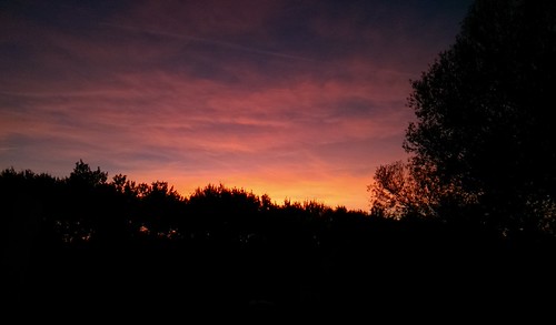 Coucher de soleil by asmoth360, Coucher de soleil au dessus des arbres.trees sunset clouds soleil cloudy arbres soirée nuages soir c