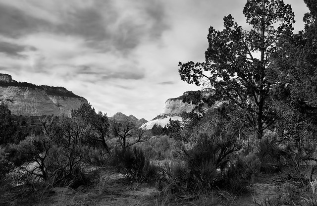 Entering into Zion National Park (Black & White)