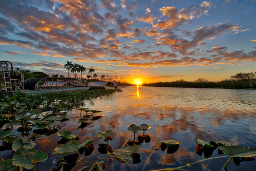 miami airboat beautiful boats clouds color florida green landscape life natural nature outdoor plants reflection sky summer sunset view water winter fortlauderdale unitedstates us
