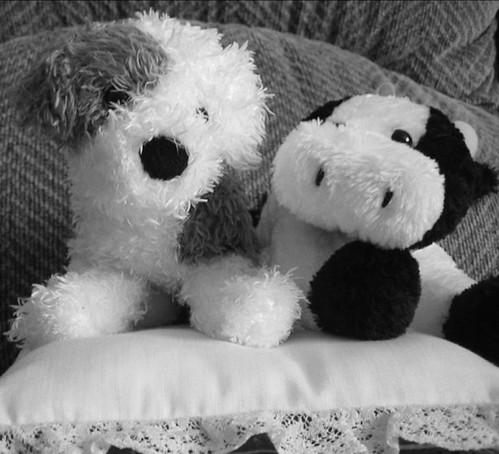 Couch Companions | by Lady-bug
