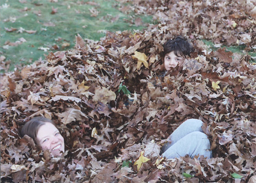 leaf pile dwellers