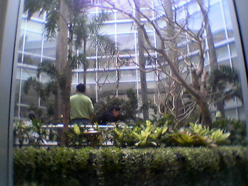 Garden inside the mall | by AyanD