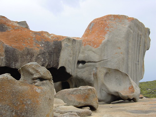 Lion's Head
