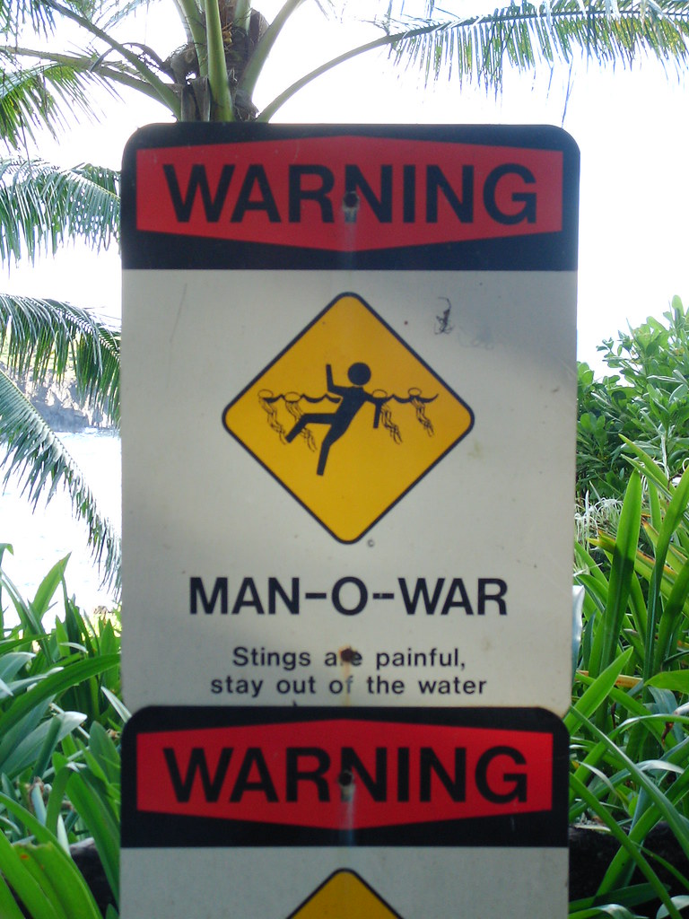 Man-O-War