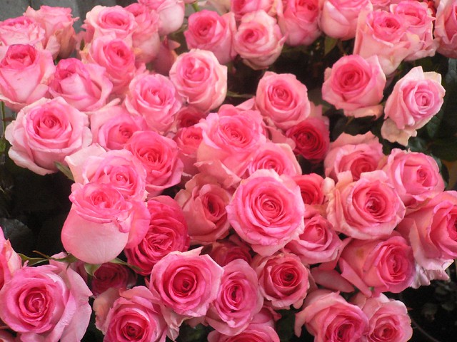 Roses at the market