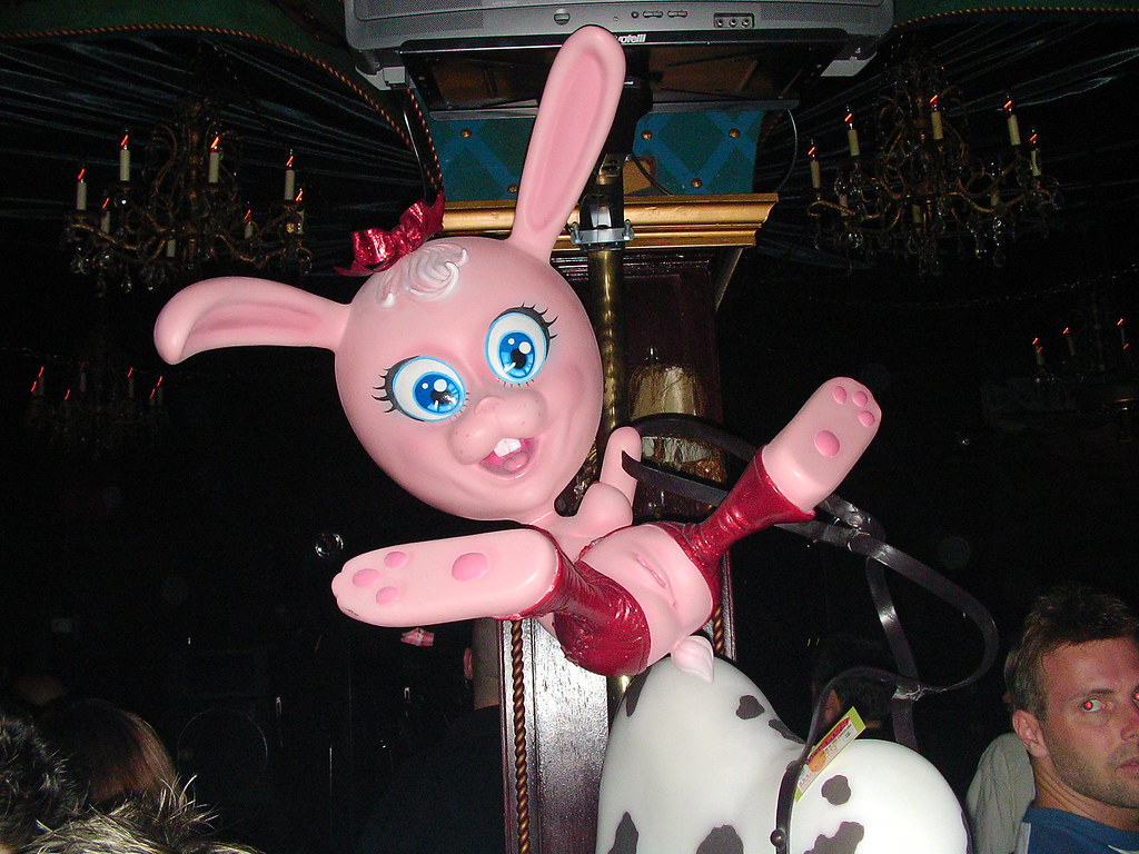 Crazy Bunny