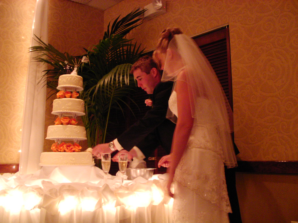 Mike and Megan Cutting the Cake