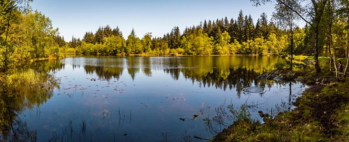 boy panorama lake reflection tree forest scotland ripples loch galloway bruntis