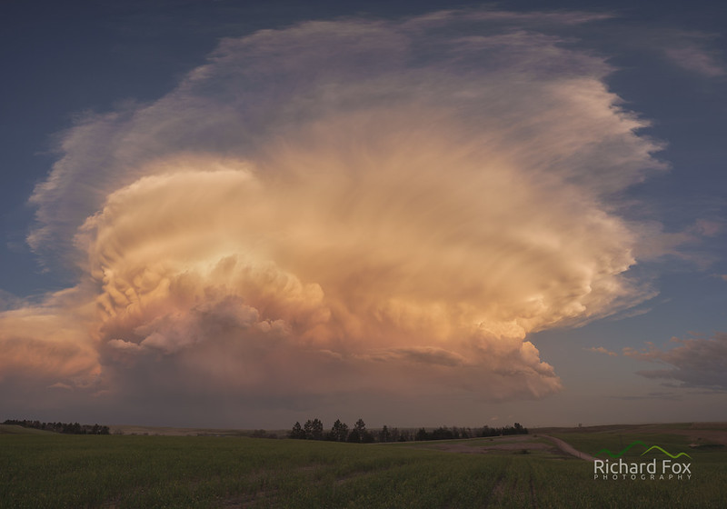 Pink Supercell