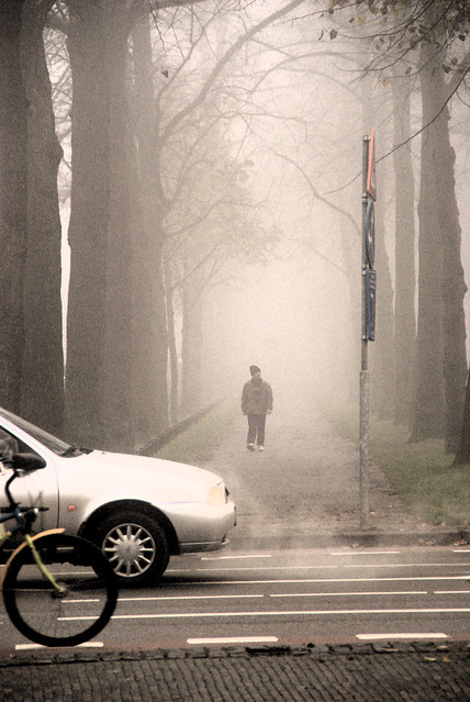 Treading thru Trees & Traffic, Maliebaan, Utrecht in the mist