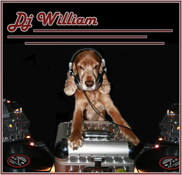 DJ William - The Album