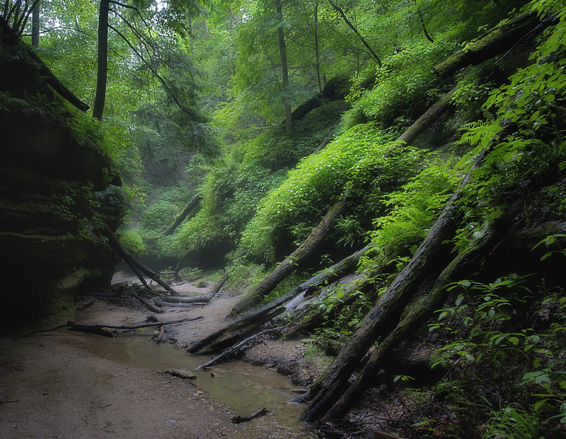 other parks or forests | Flickr