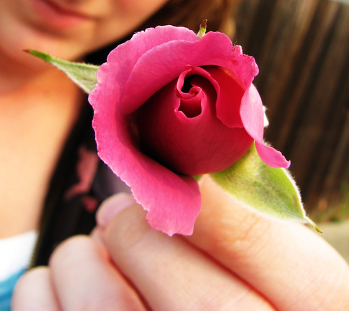 rose | by Sam I Am Photography