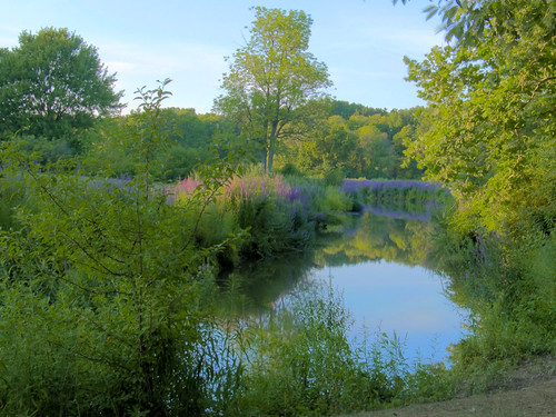 wetlands2 by tmanhollan, sunset ohio hdr highdynamicrange millcreekpark lakenewport youngstownoh