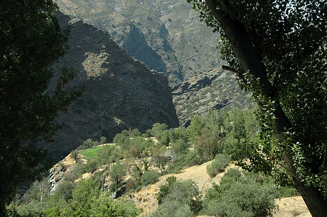 d0806333 | Blick in die Schlucht des Rio Trevélez bei Busquistar, Taha de Pitres. Andalusien, 20.09.2008